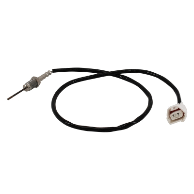 Sensor, exhaust gas temperature (WG2196215)