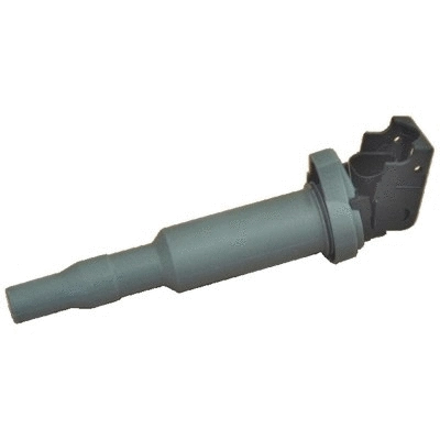 Ignition Coil (WG1893419)