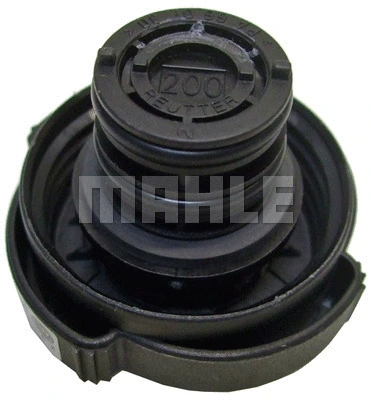 Cap, coolant tank (WG2184229)