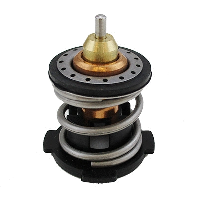 Thermostat, coolant (WG2099738)