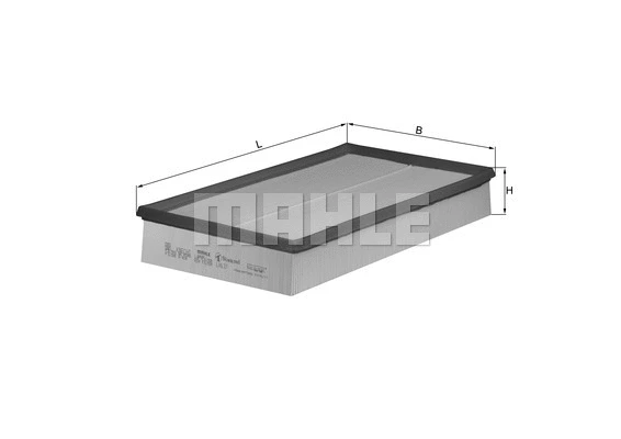 Air Filter (WG1216670)