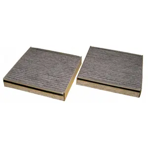 Filter, cabin air (WG1774505)