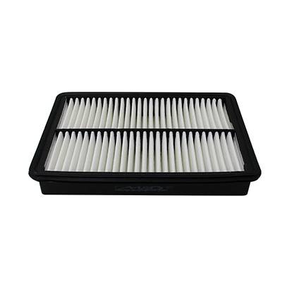 Air Filter (WG2152156)