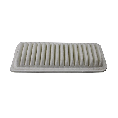 Air Filter (WG2152155)