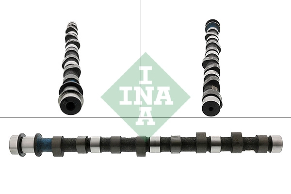 Camshaft (WG1780305)