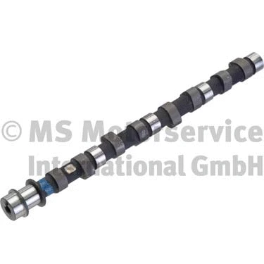 Camshaft (WG1017634)