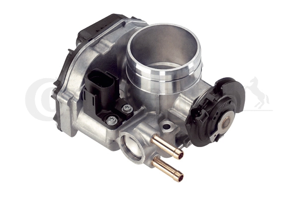 Throttle Body (WG1032697)