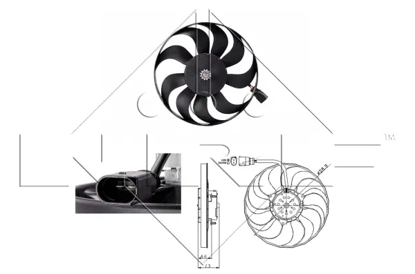 Fan, engine cooling (WG1720344)