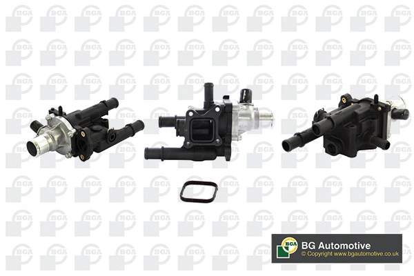 Thermostat, coolant (WG1814381)