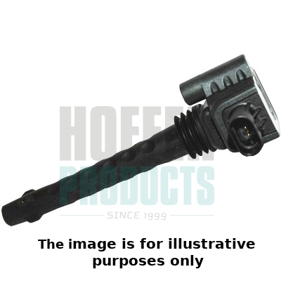 Ignition Coil (WG1902109)
