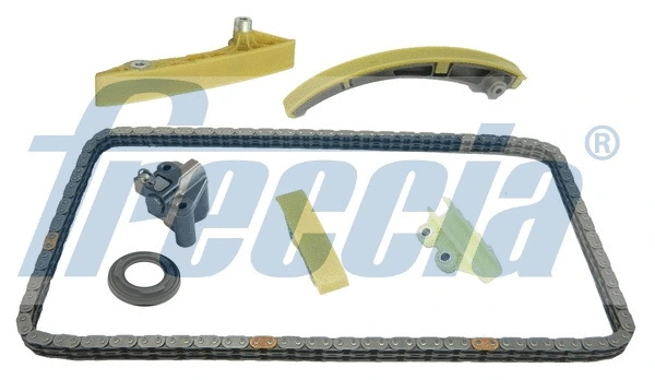 Timing Chain Kit (WG1910069)