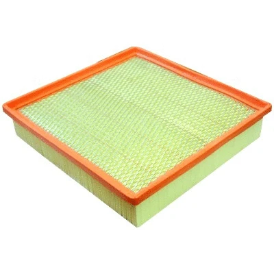 Air Filter (WG2111870)