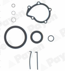 Gasket Kit, crankcase (WG1179892)