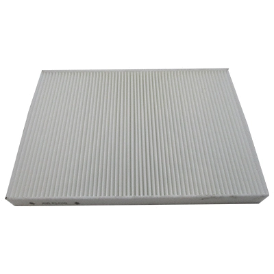 Filter, cabin air (WG1903569)