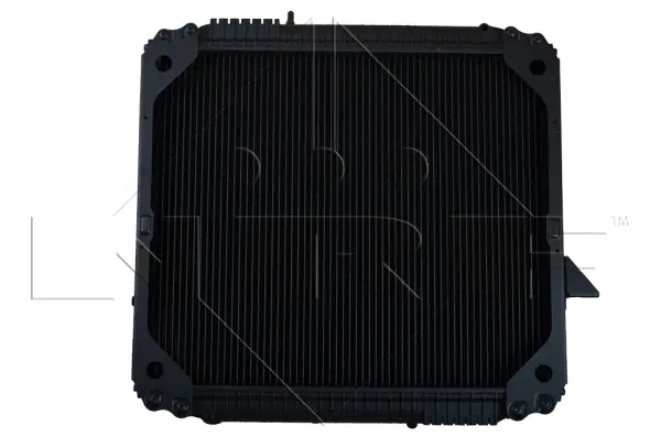 Radiator, engine cooling (WG1721227)