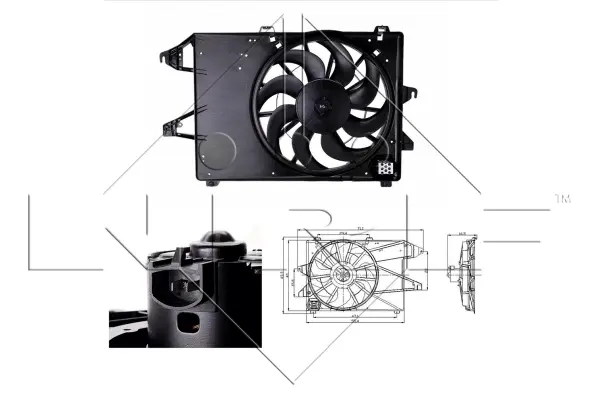 Fan, engine cooling (WG1720233)