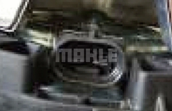 Fan, engine cooling (WG2180537)