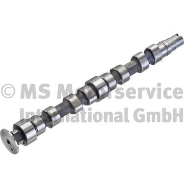 Camshaft (WG1017544)
