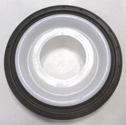 Shaft Seal, crankshaft (WG1223398)