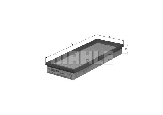 Air Filter (WG1216220)