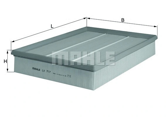 Air Filter (WG1216736)