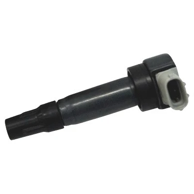 Ignition Coil (WG1012460)