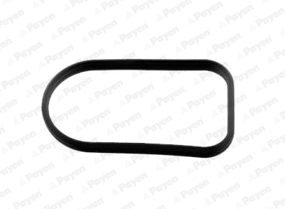 Gasket, intake manifold (WG2202398)