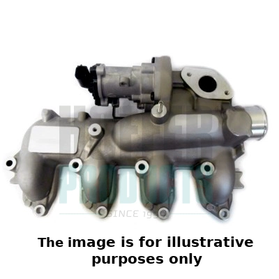 EGR Valve (WG1899182)