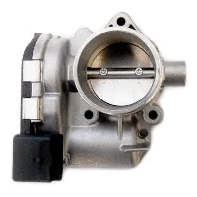 Throttle Body (WG1719792)