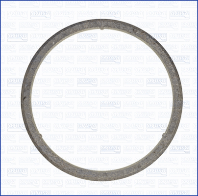 Gasket, exhaust pipe (WG1448810)