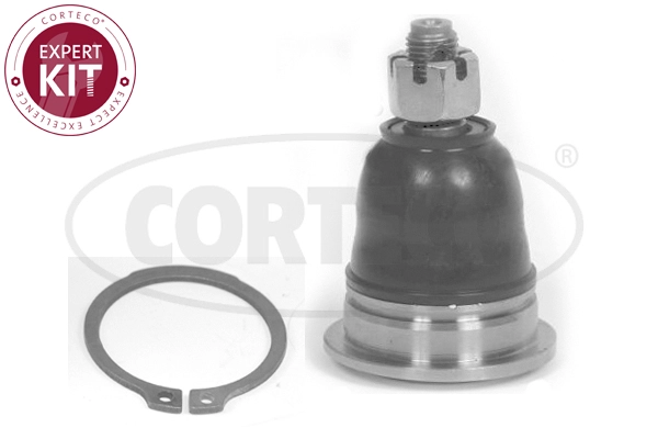 Ball Joint (WG2288436)