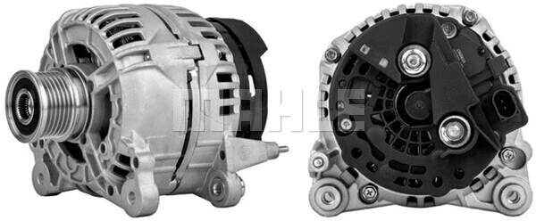 Alternator (WG2203010)