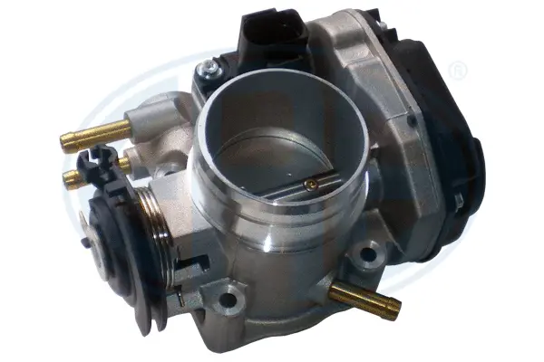 Throttle Body (WG1495057)
