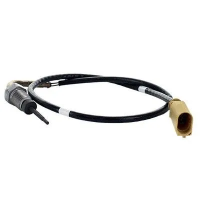 Sensor, exhaust gas temperature (WG1796266)