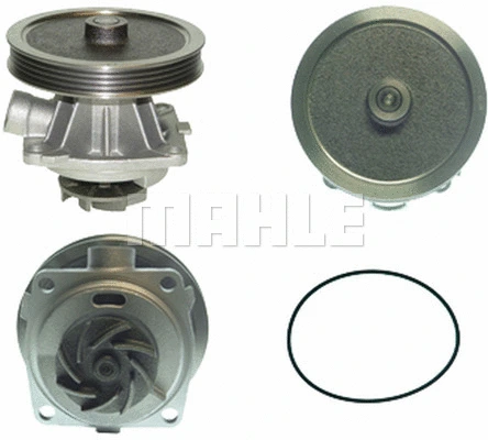 Water Pump, engine cooling (WG2181776)