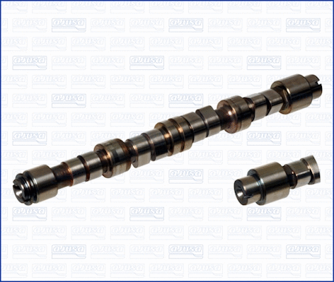 Camshaft (WG1171263)