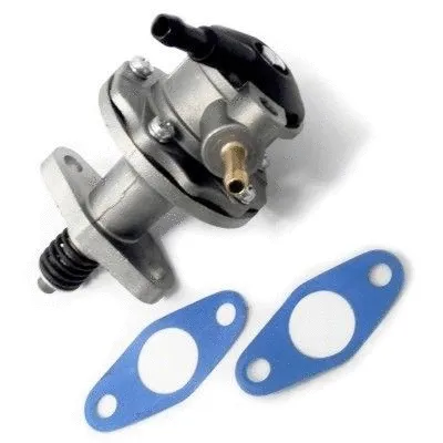 Fuel Pump (WG1750073)