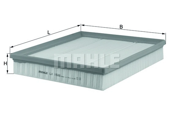 Air Filter (WG1215957)