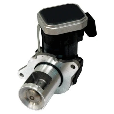 EGR Valve (WG1015318)