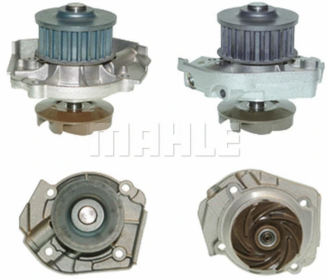Water Pump, engine cooling (WG2181830)