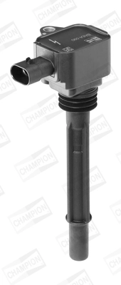 Ignition Coil (WG2009138)