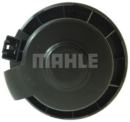 Interior Blower