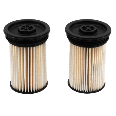 Fuel Filter (WG2196097)