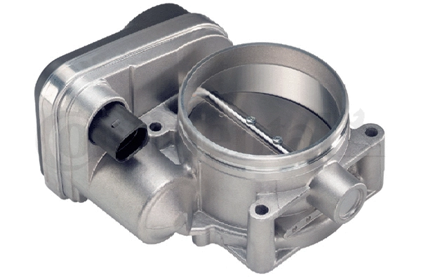 Throttle Body (WG1032728)