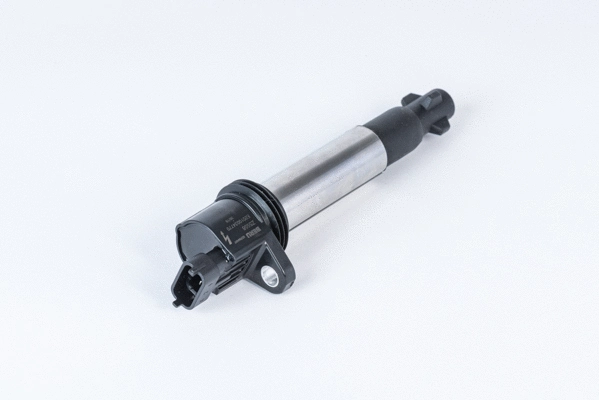 Ignition Coil (WG2112939)
