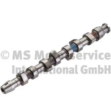 Camshaft (WG1017566)