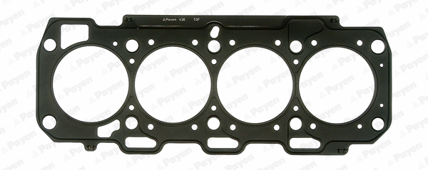Gasket, cylinder head (WG1177729)