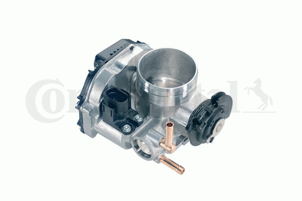 Throttle Body (WG1032701)