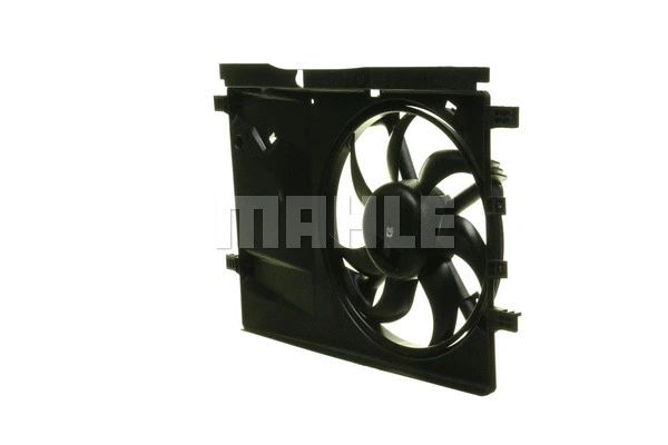 Fan, engine cooling (WG2180566)