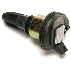 Ignition Coil (WG2175043)